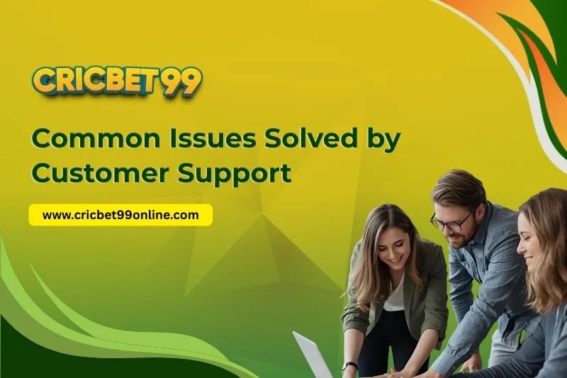 Common Issues Solved by Customer Support